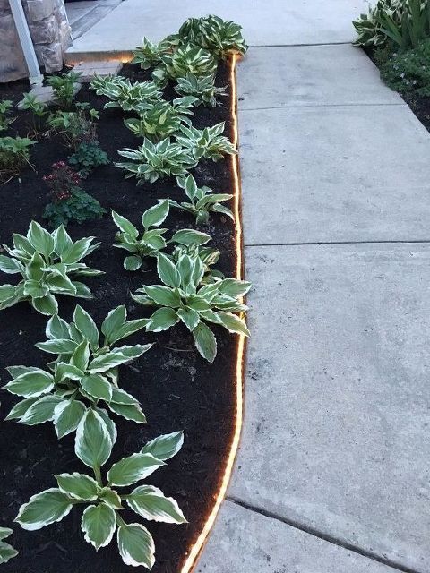 Light edging is a cool idea for a modern garden - skip everything usual and go for lights.