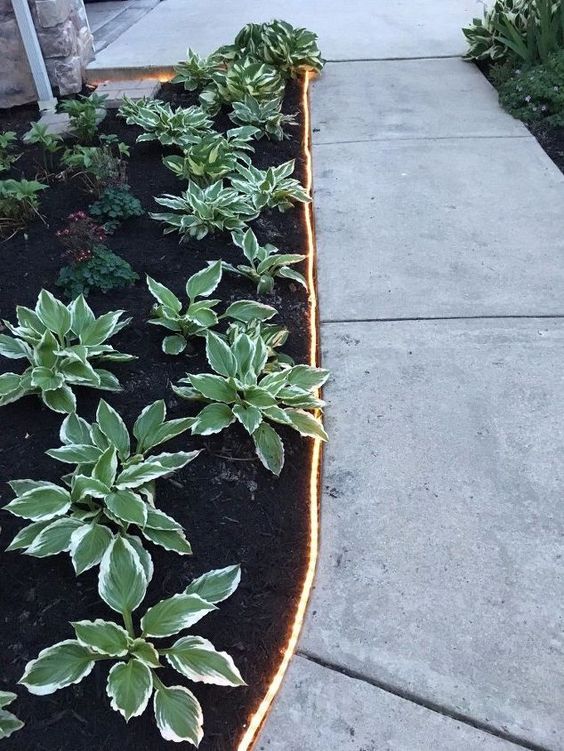 LED lights as garden edging is a very neat and chic idea to bring an ultimate modern look to the space.