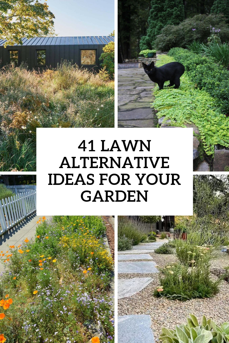 41 Lawn Alternative Ideas For Your Garden