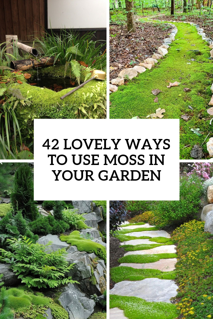 42 Lovely Ideas To Use Moss In Your Garden