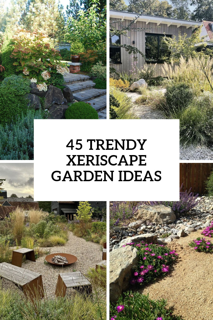 45 Trendy Xeriscape Garden Ideas