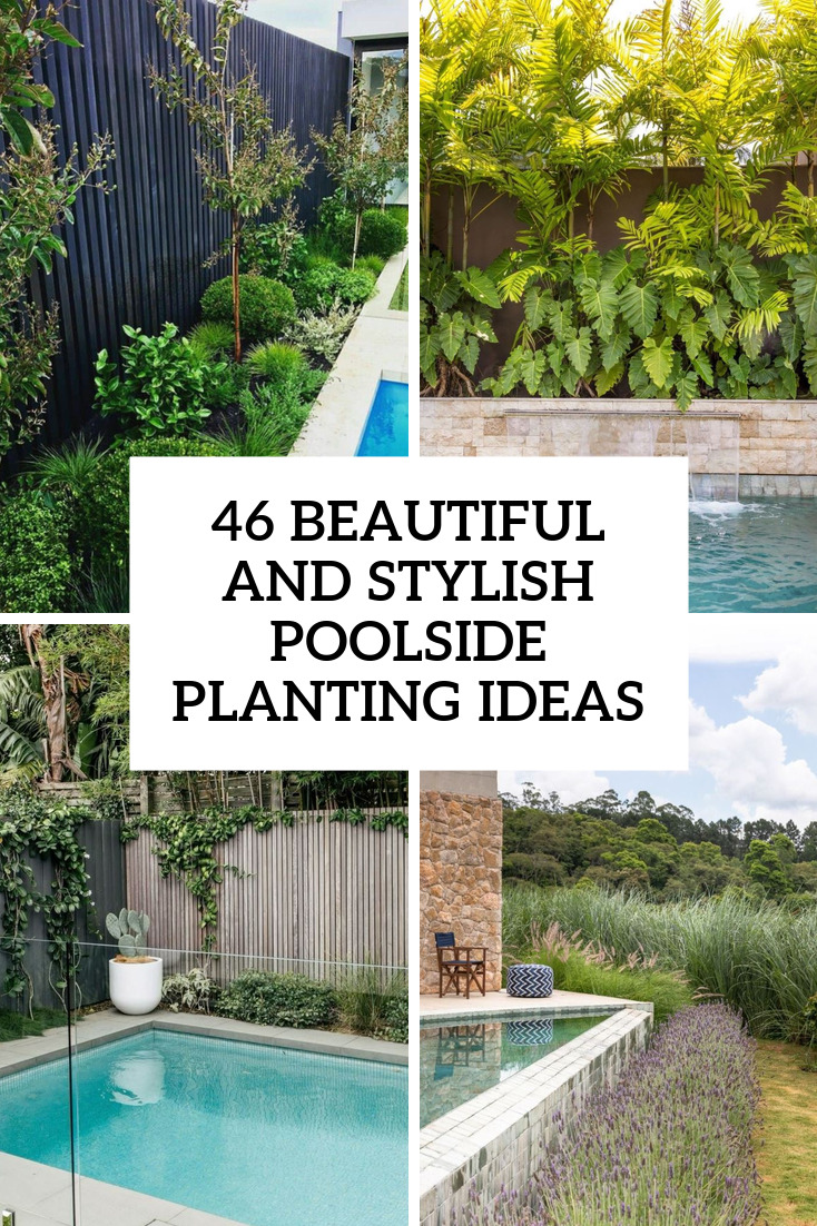 46 Beautiful And Stylish Poolside Planting Ideas
