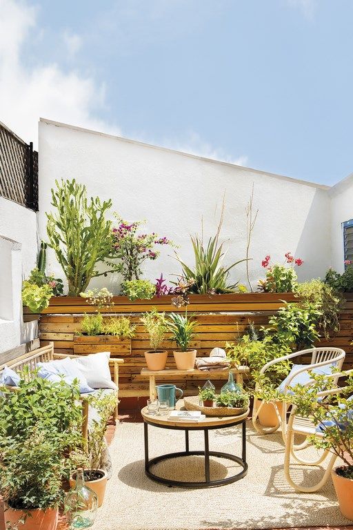 A summer space with a wooden wall, rattan furniture and lots of potted greenery and blooms for a garden feel.