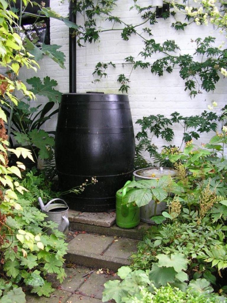 This black painted barrel is a catchy solution for a white and green space, it stands out. 


(via awkwardduckling).