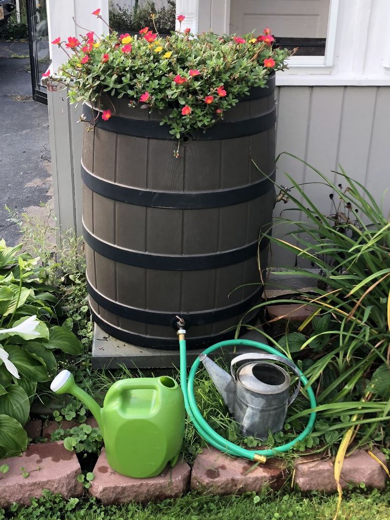 The barrel is topped with bright blooms to make it look lovely and add color to the space.