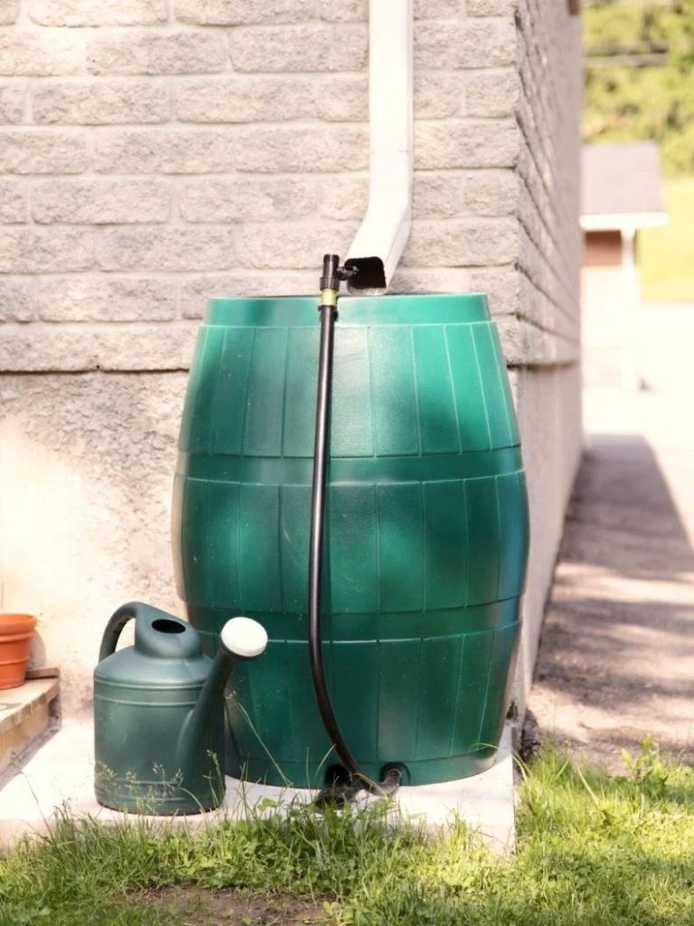 This emerald plastic barrel is a nice container for rain water and color touch to the space.