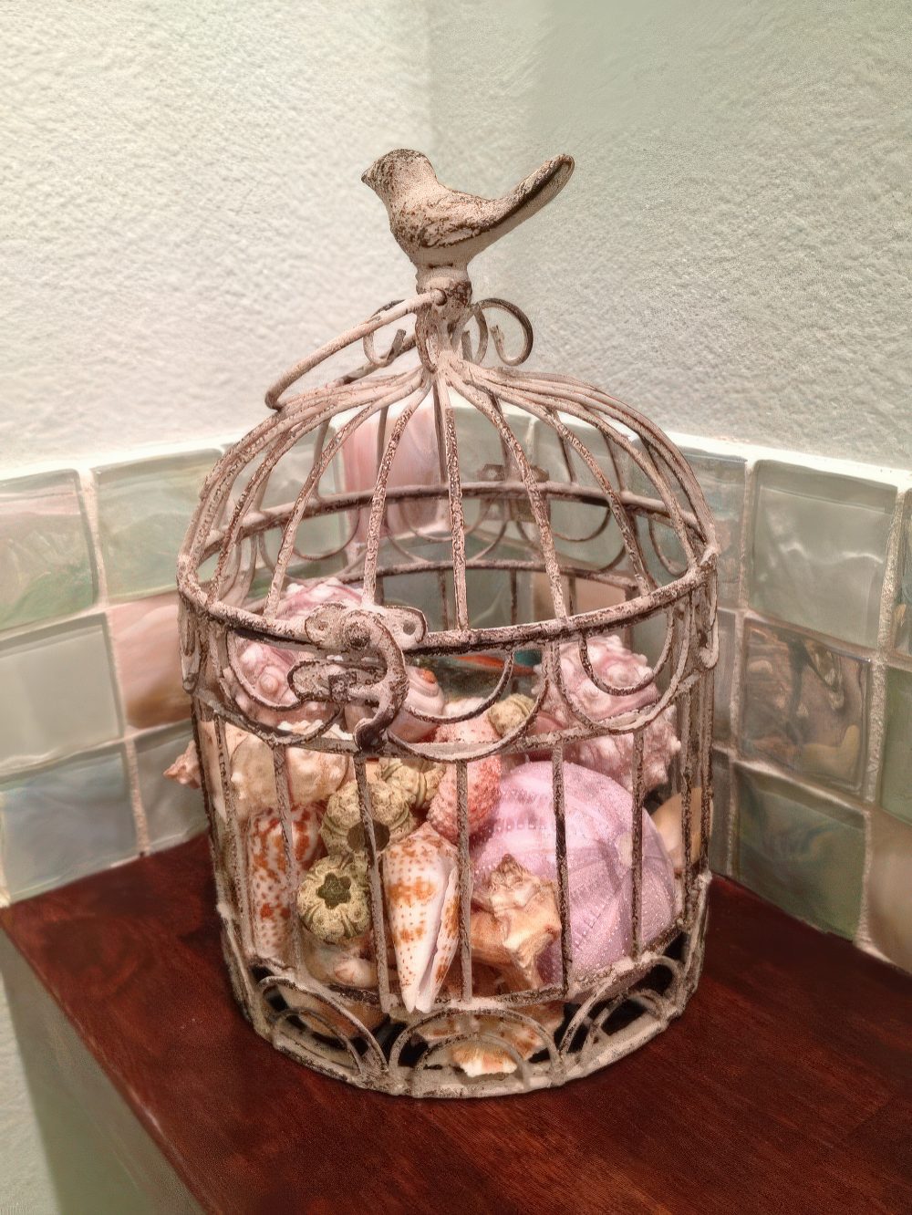 A shabby chic vintage cage with lots seashells inside to give a coastal feel to a vintage space.