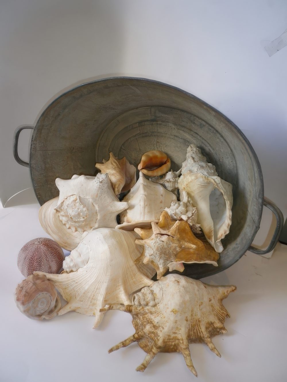 A galvanized bathtub with seashells and starfish is a cool decoration both for indoors and outdoors.