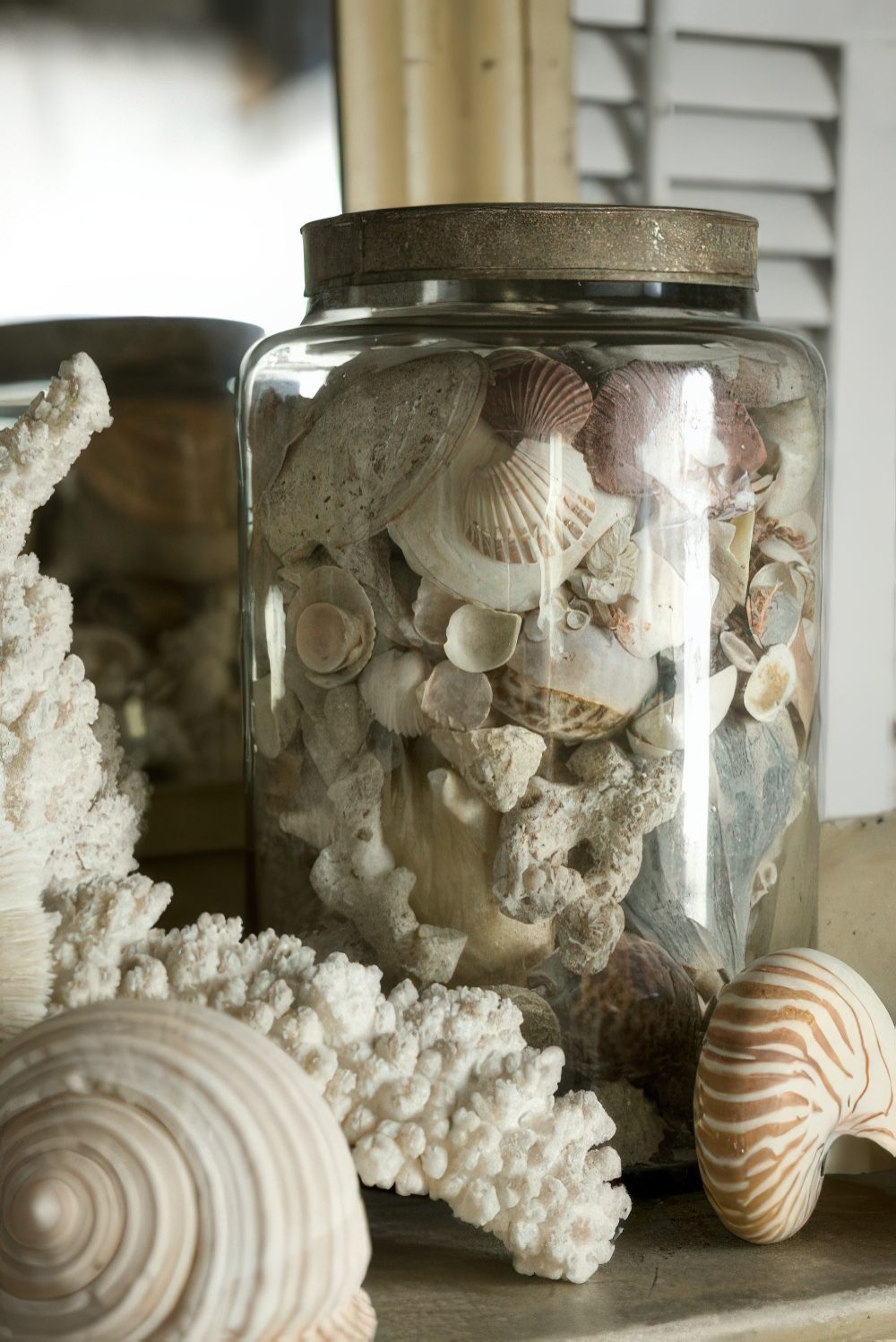 Seashells on the shelves and in jars will give a beachy feel to your home at once.