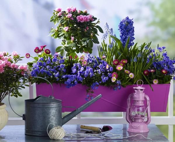 A purple metal planter with bright blooms is a cool summer decoration for indoors and outdoors with a vintage feel.