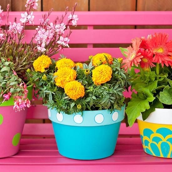 Colorful printed planters with extra bold blooms will make your space cheerful and fun.