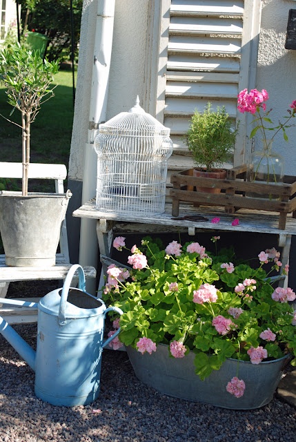 Buckets and metal planters with bright pink blooms will give a bold summer yet rustic touch to your outdoor space.