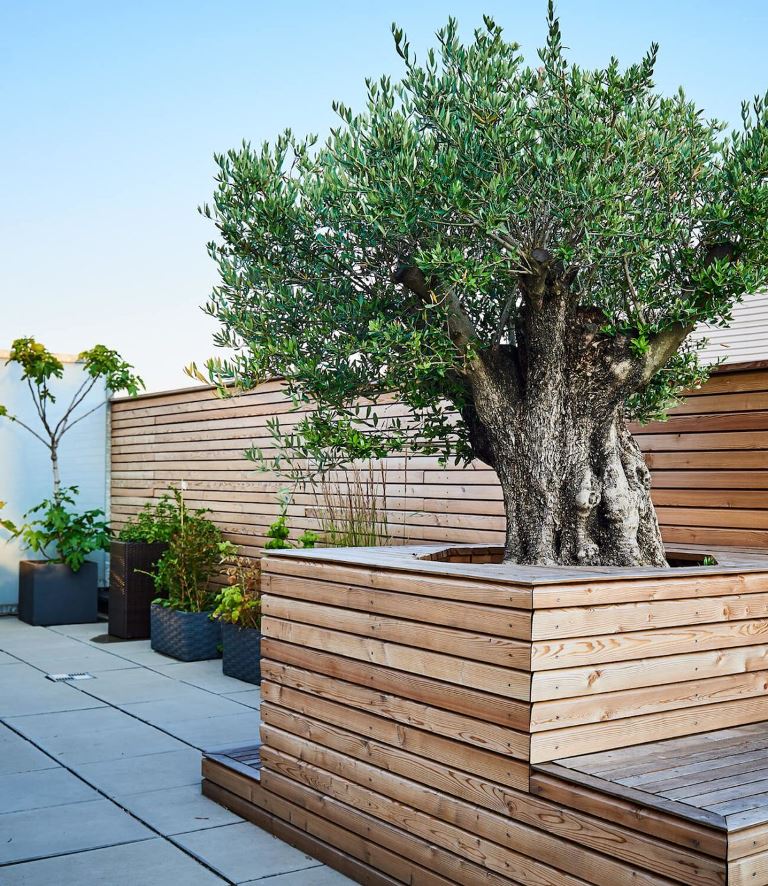 The deck features a slat fence and a matching large garden bed with a tree. The combo is spectacular and the space looks contemporary. 


(via tulpenbaum).