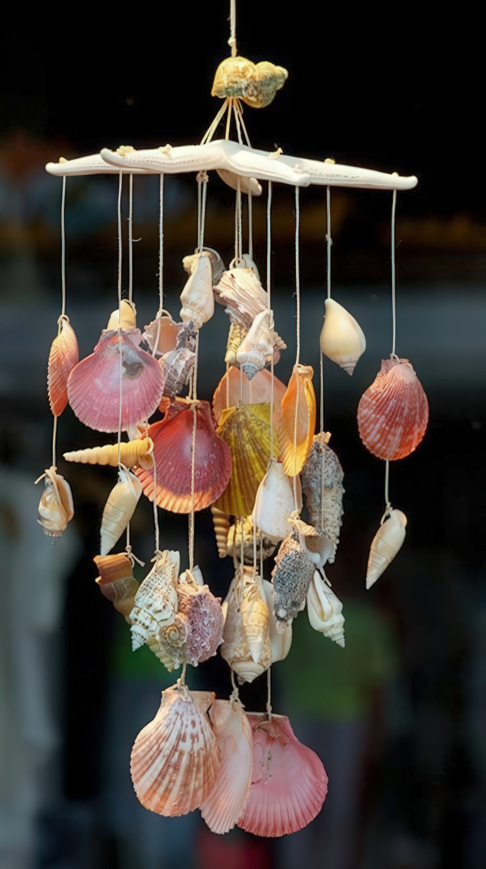 Make a pretty seashell and starfish wind chime for your garden for this summer.