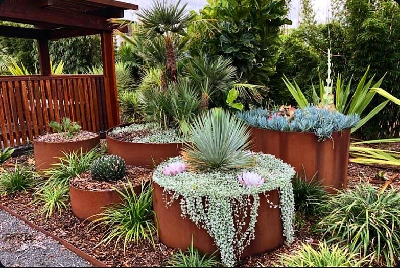 For a clean and structured look, raised garden beds with metal edging are a smart solution. The edging helps prevent soil erosion, keeps pathways tidy, and allows for creative designs in both small and large garden spaces. The rusted look pairs beautifully with lush greenery or drought-tolerant plants.

(@formboss.metal.edging).