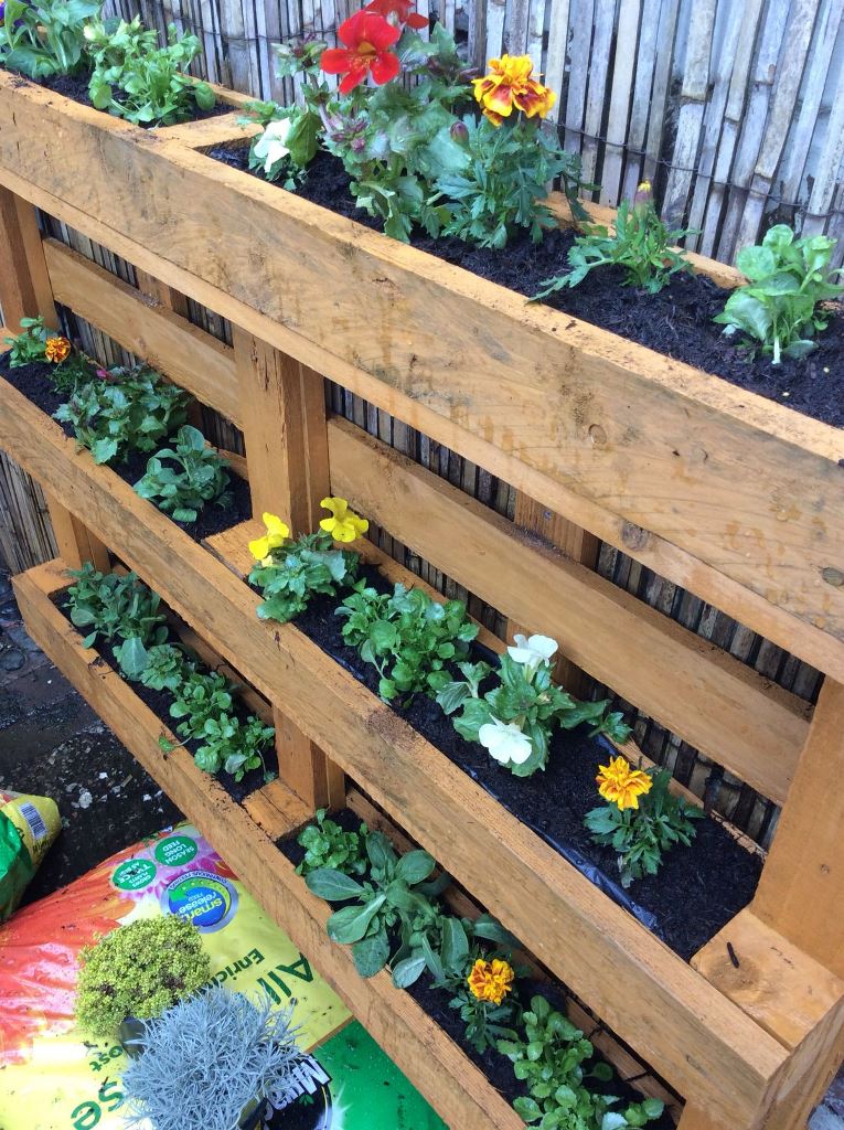 This pallet garden is aimed at showing off some blooms, a lovely idea for a tight space.