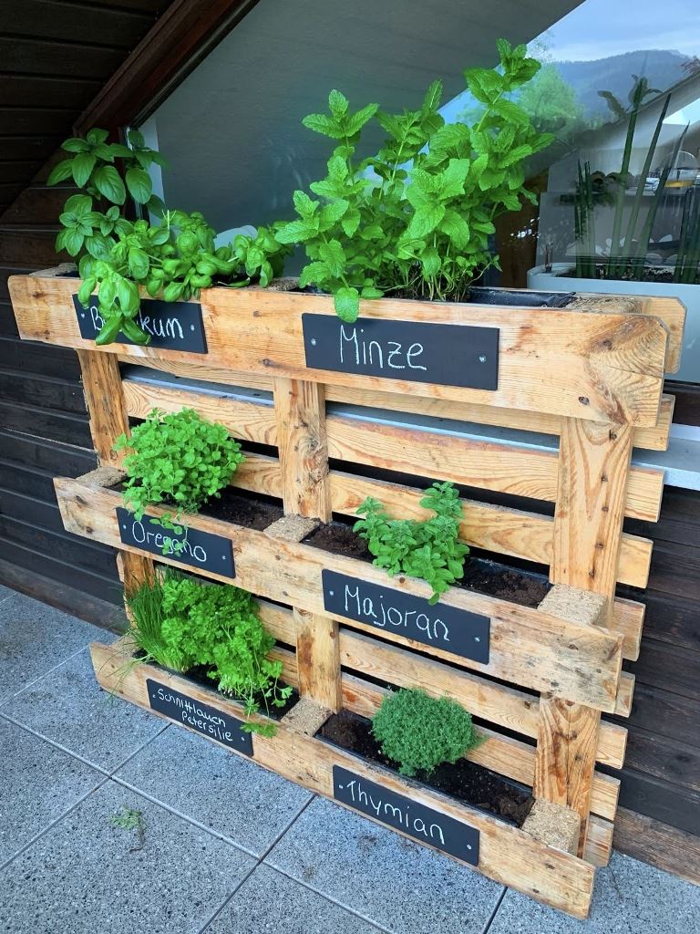 This vertical pallet garden is used to grow herbs and the marks are made of chalkboard.