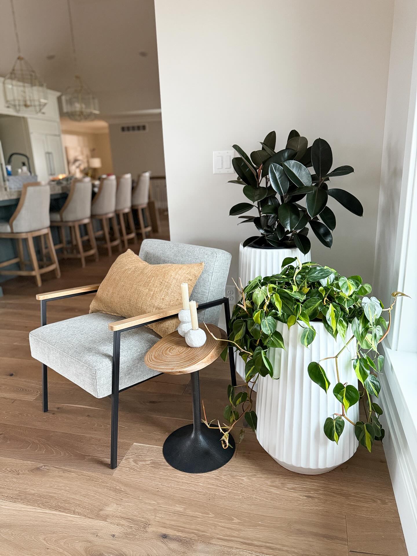 This overlooked corner becomes a standout with a mix of statement planters and lush foliage—nature’s fix for awkward angles and blank walls.

(@juteandjade).