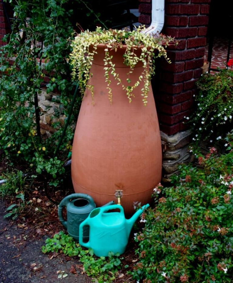 The tall container is topped with a small greenery pot to make it look nice.