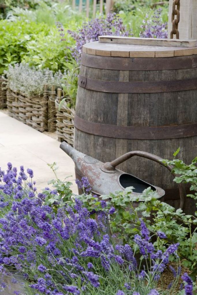 A simple old classic barrel is also a good idea: it will add that cozy rustic feel to the space. Here it looks perfect with lavender and wicker garden beds.